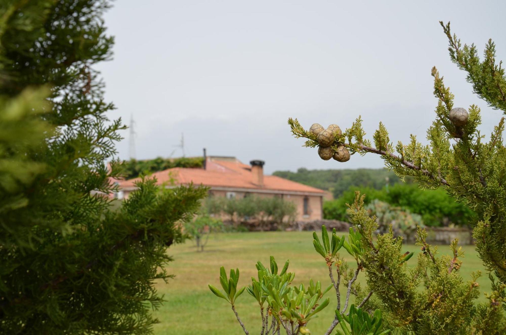 Bed and Breakfast Borgo Piazza Catanzaro Pokoj fotografie